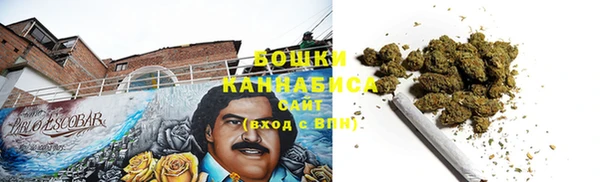 мяу мяу кристалл Гусь-Хрустальный