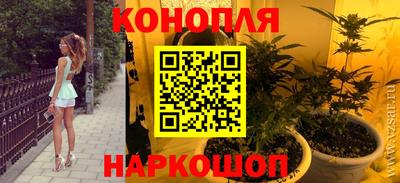 спиды Бийск