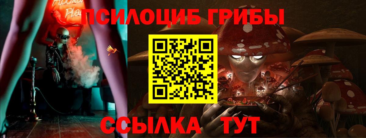 Псилоцибиновые грибы GOLDEN TEACHER Джанкой